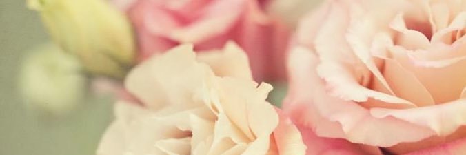tempcamila's profile banner image