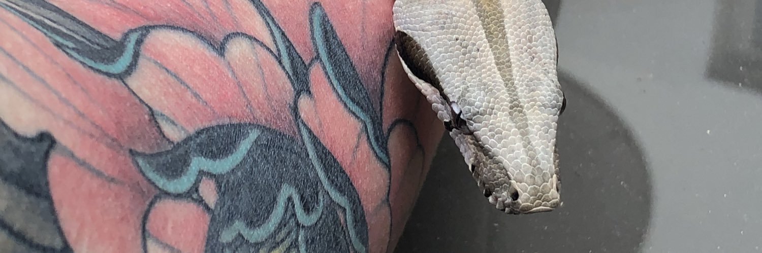 AndyAtrophy's profile banner image