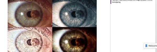 MarkM Profile Banner