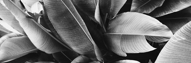 mafercontre's profile banner image