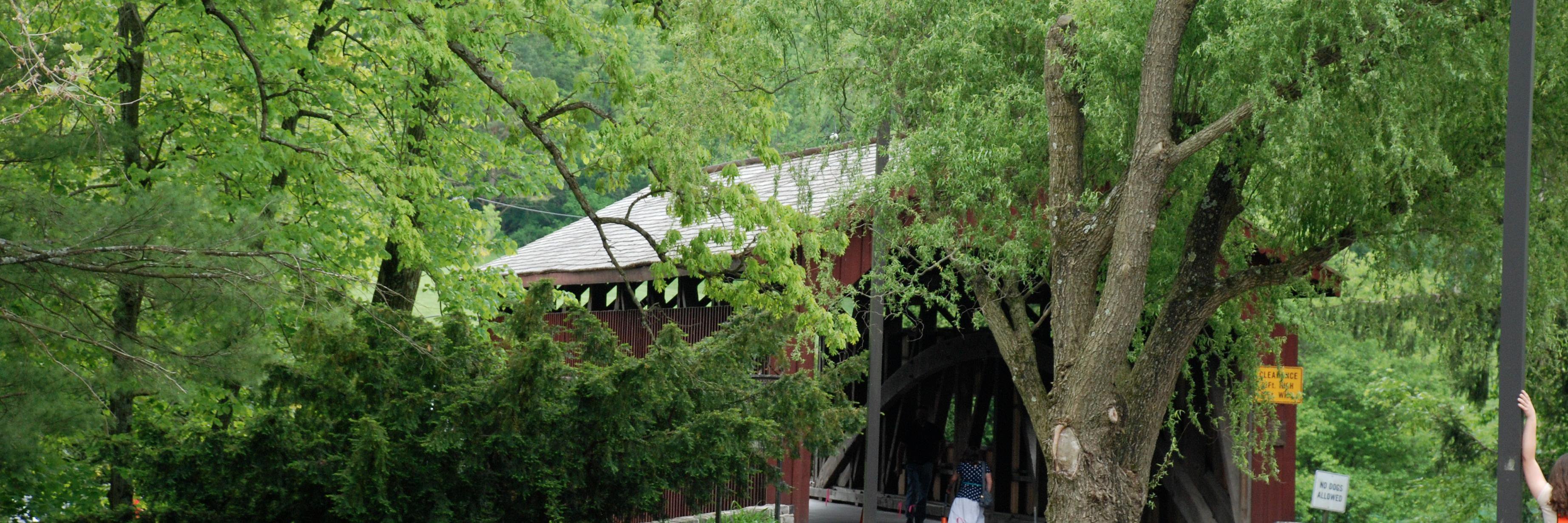 InPhilStill's profile banner image