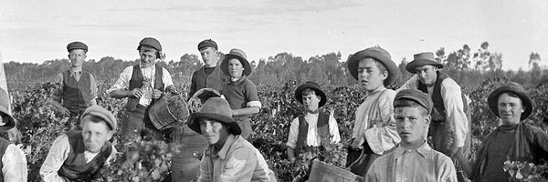 BestsWines Profile Banner