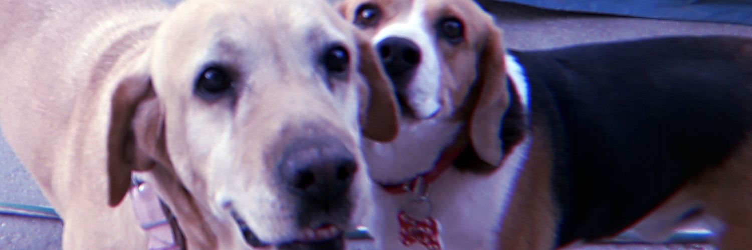 ADelavega's profile banner image