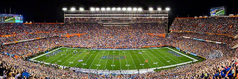 🐊 GatorAmp's banner