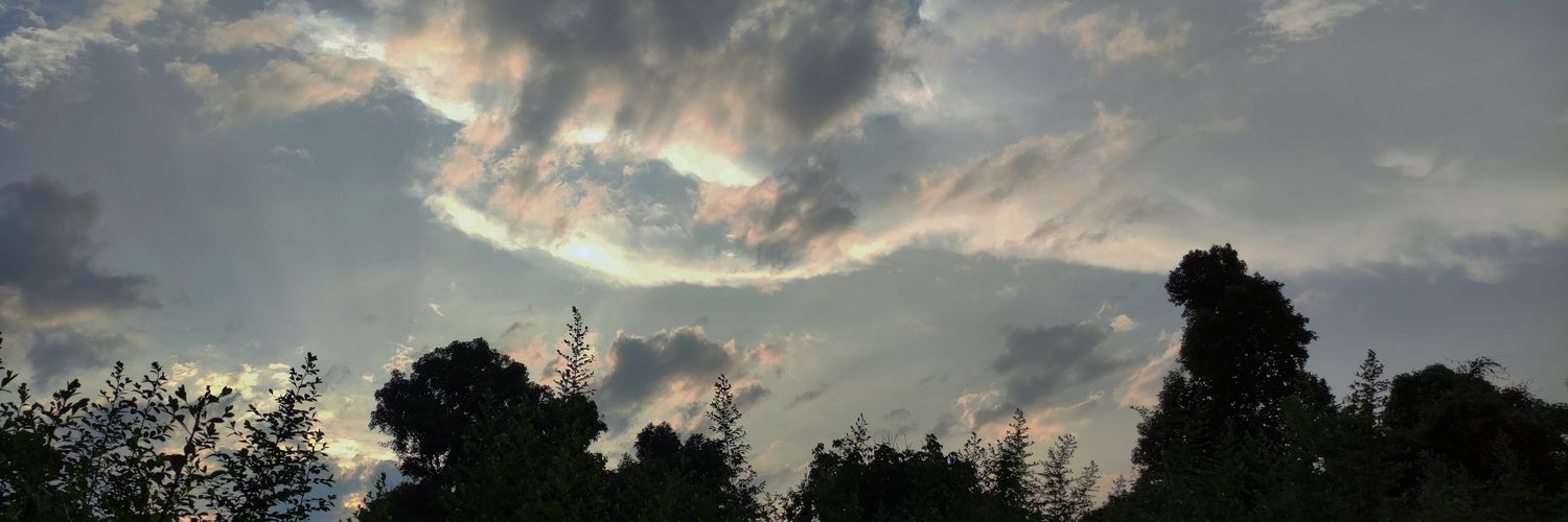 matt_demon_'s profile banner image