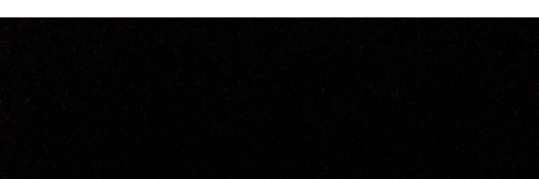 Rod Munch banner