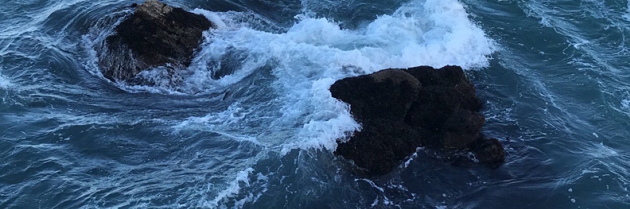 vegannessa's profile banner image