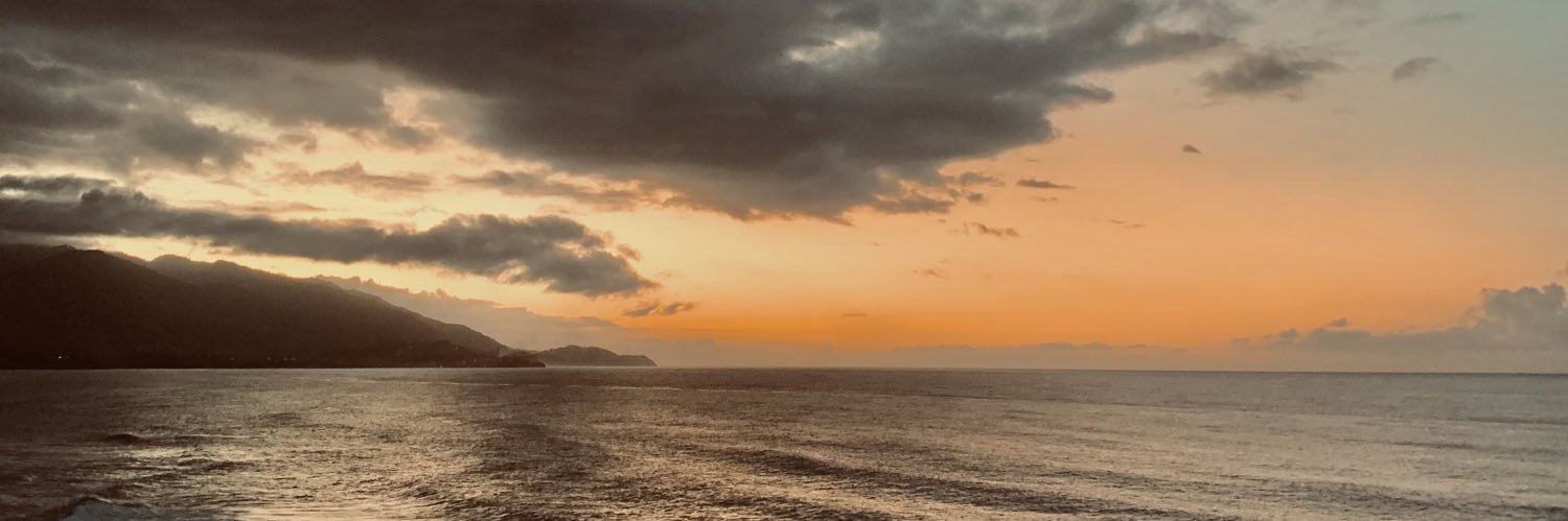 TamSuarez's profile banner image