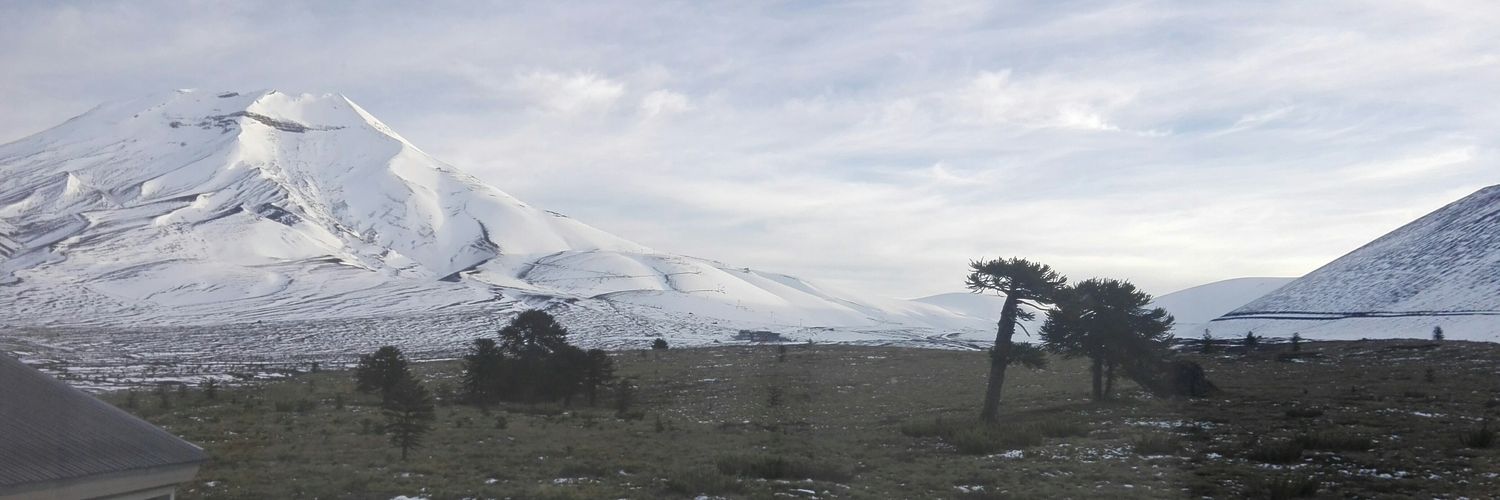 emilillan's profile banner image