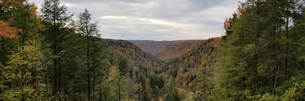 Linflas Profile Banner