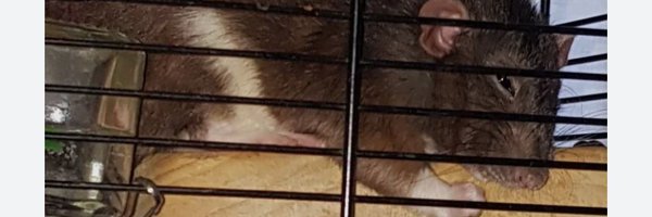 cacheticolorada Profile Banner