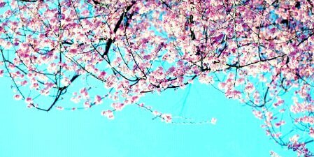 Michibaby007's profile banner image