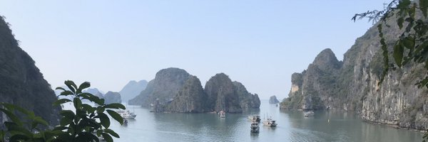 dartieu Profile Banner