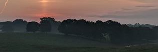 GooseDubDistill's profile banner image