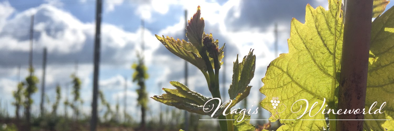 Gensyo's profile banner image