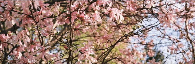 katruerinatten's profile banner image