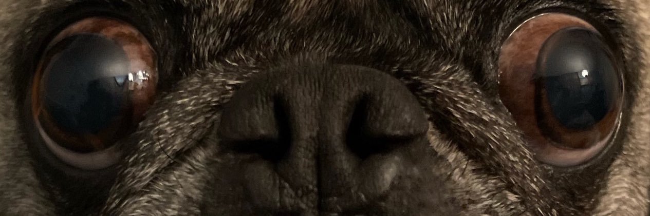 Justin Carbonel banner