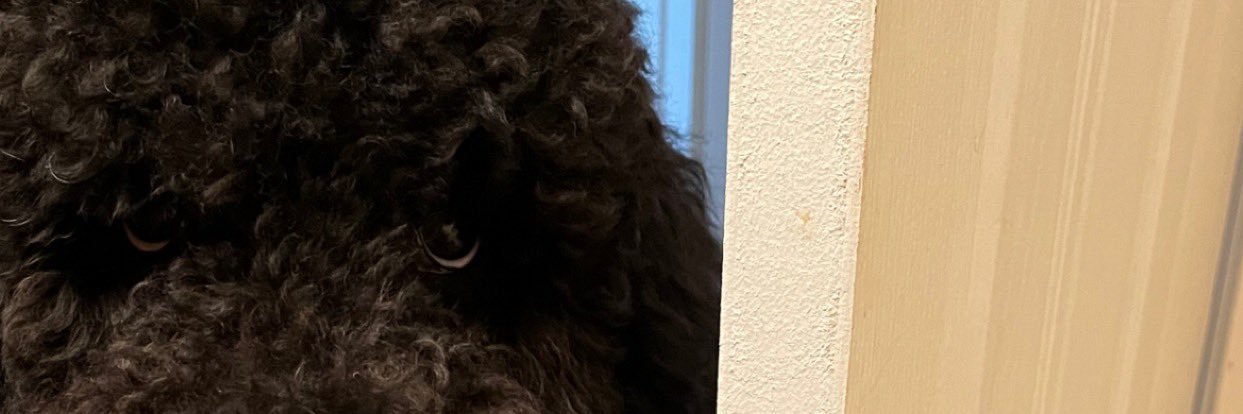 BLOCKED DELETED MUTED banner