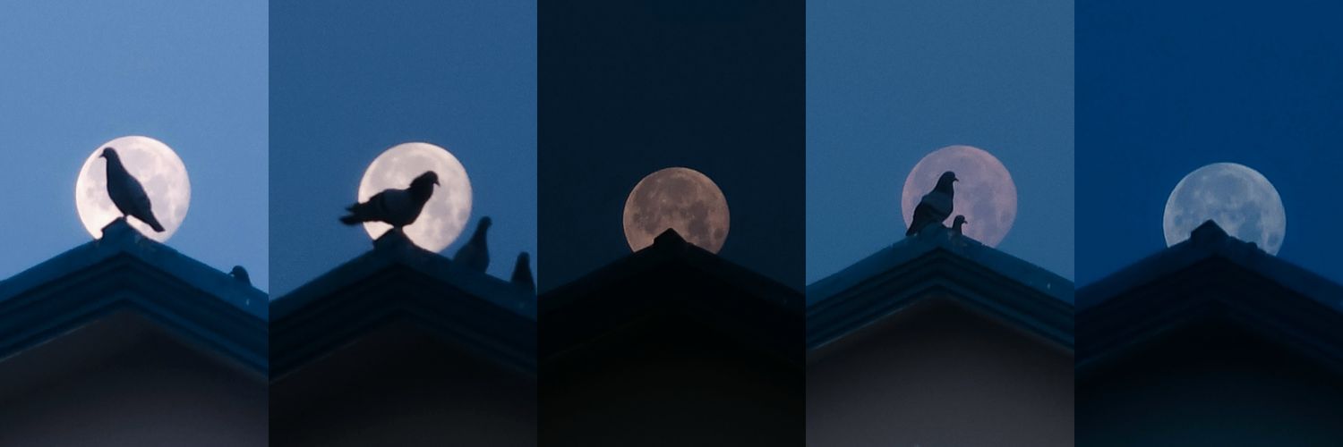 Lavdɛɛp Singh banner