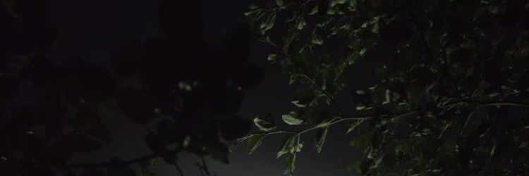 imehrnn's profile banner image