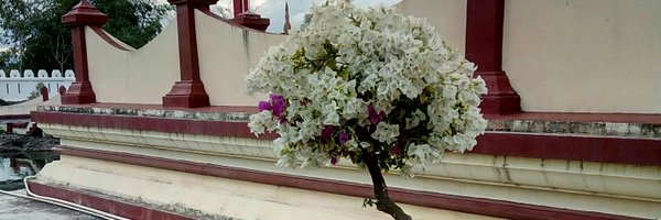 jrcha Profile Banner