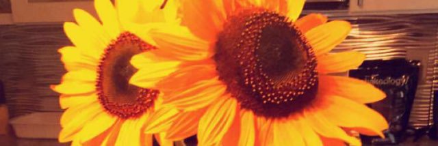 vickixy's profile banner image