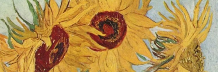 macymarshall's profile banner image