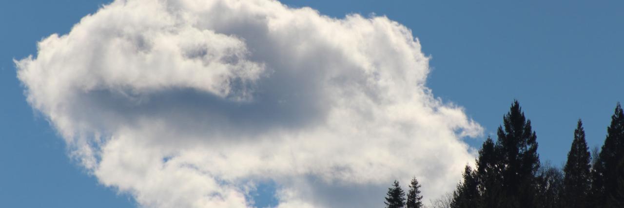 Donald Papasito banner