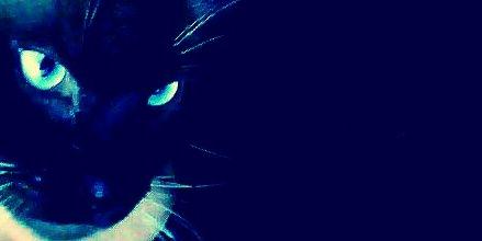 BelovedxD's profile banner image