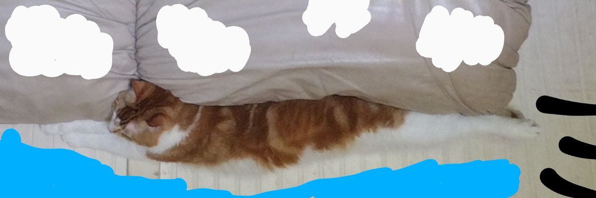 sand_dog22's profile banner image