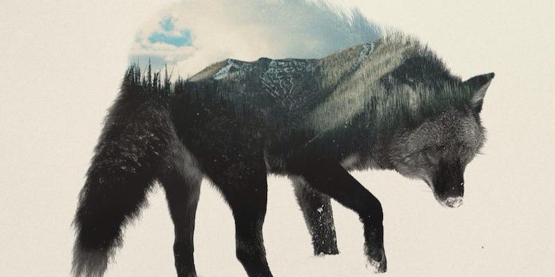 aeedle's profile banner image