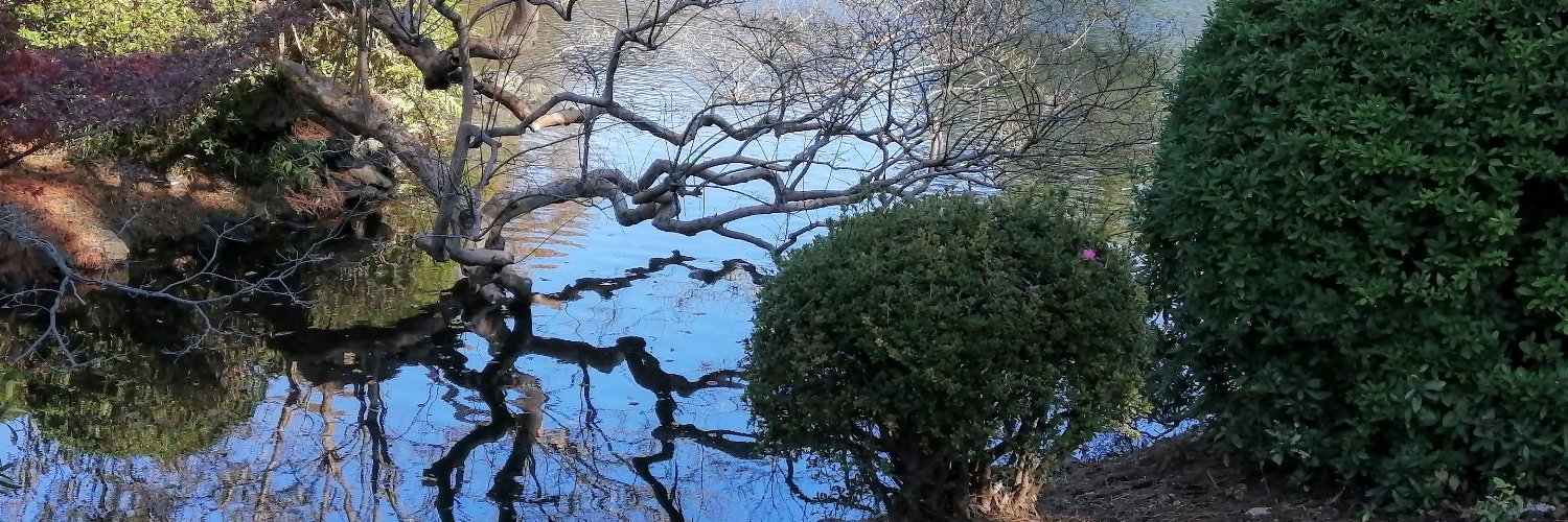 Suresh Bhagavatula banner