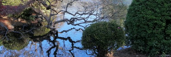 beesuresh Profile Banner