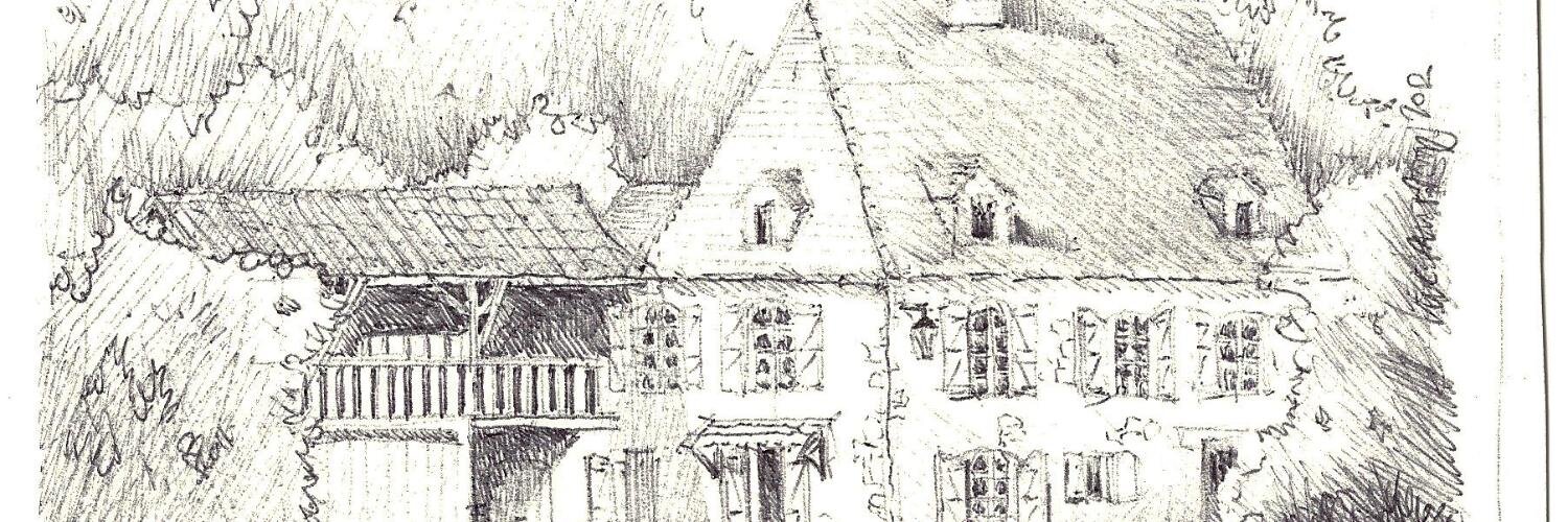 Carine Van Steen banner