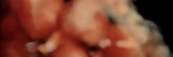 lanorucia Profile Banner