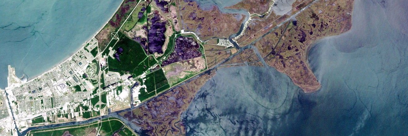 omri | עמרי banner