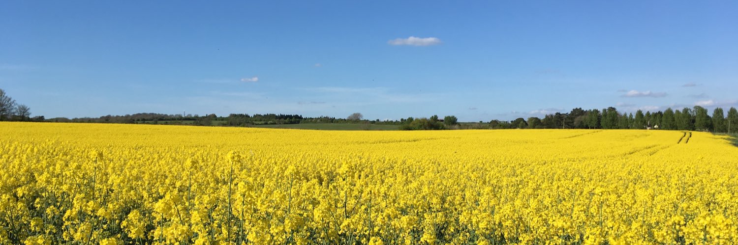 Roger Webb 💙 banner