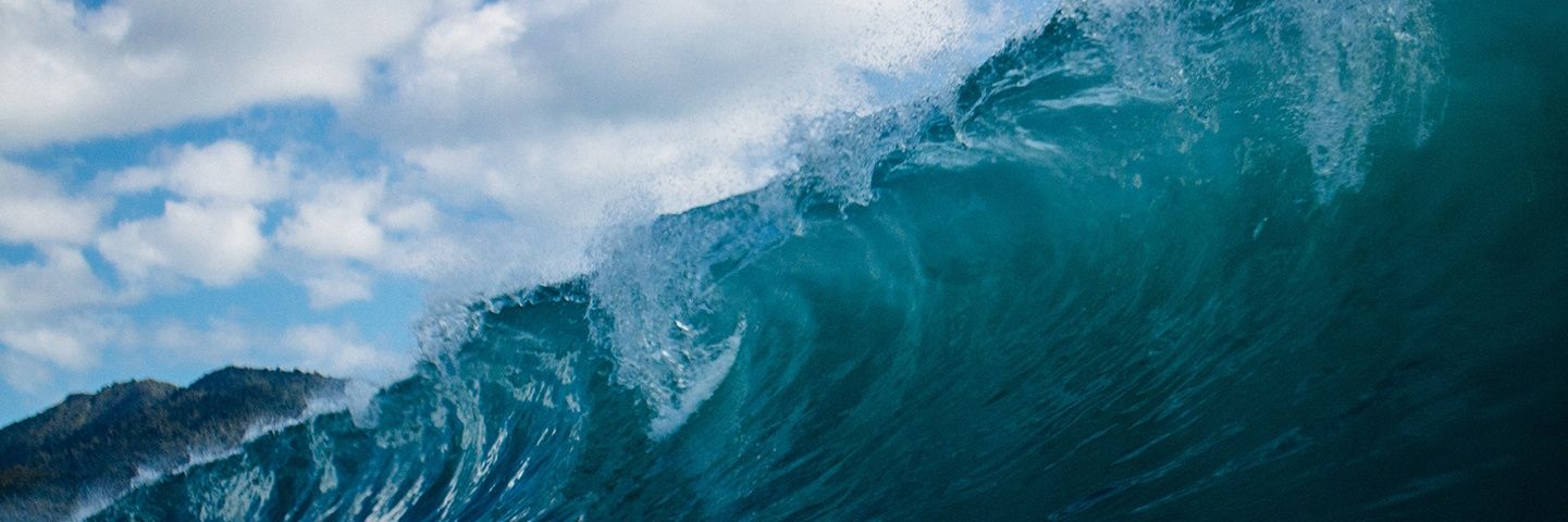 🐔Universal Basic Chicken🐔 banner