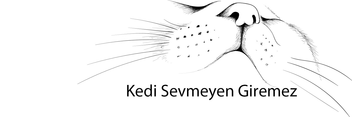 zipirhayvan's profile banner image