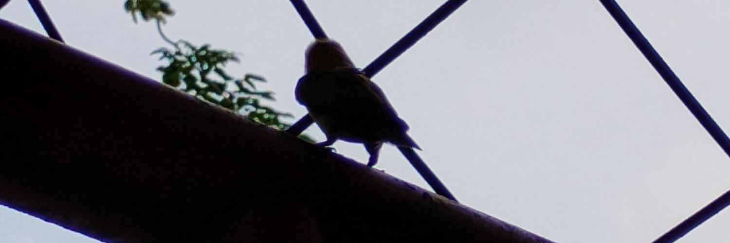 pernah_ingat's profile banner image