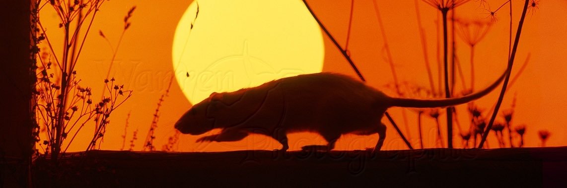 JonDanHop's profile banner image