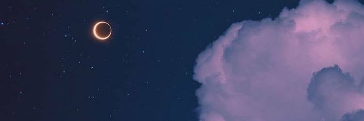 devina banner