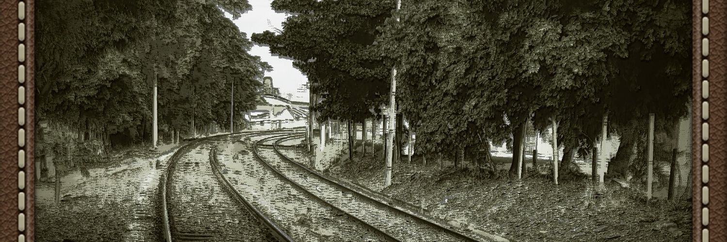 Claudio Silva banner