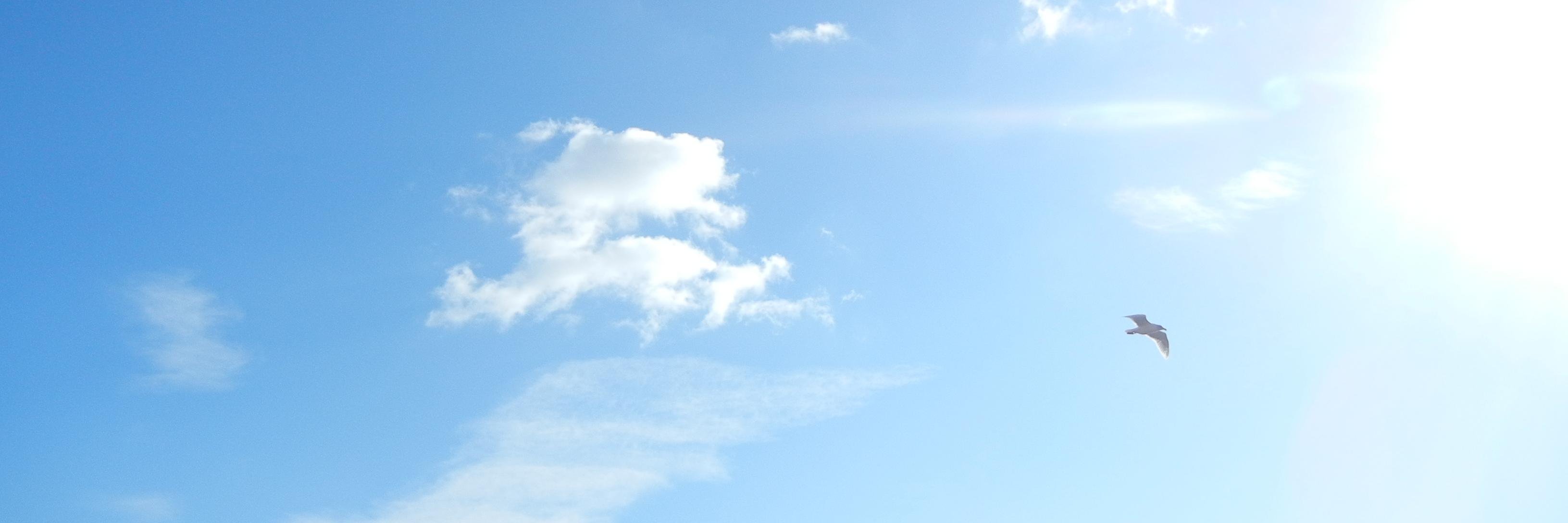 misato4205's profile banner image