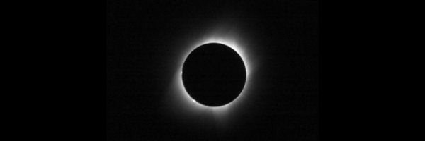 spergasaurus Profile Banner