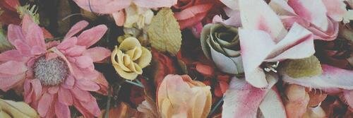 amyboast's profile banner image