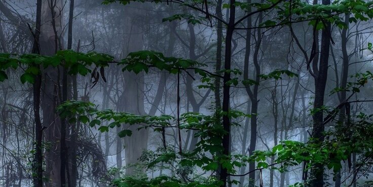 tangledtwist's profile banner image