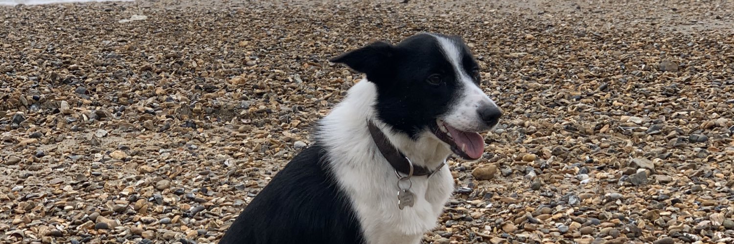 Philip Denning banner