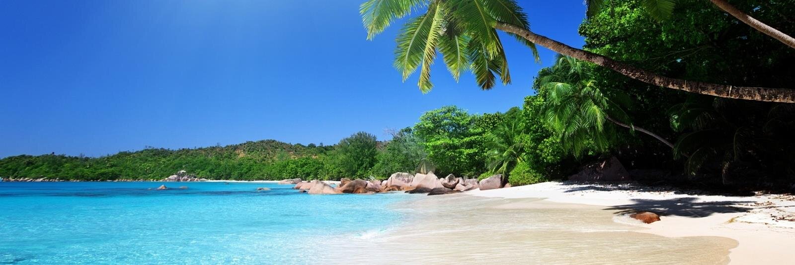 2DDD's profile banner image