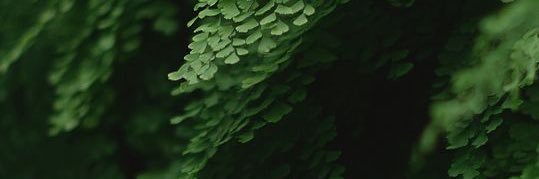 HaydenCraycraft's profile banner image